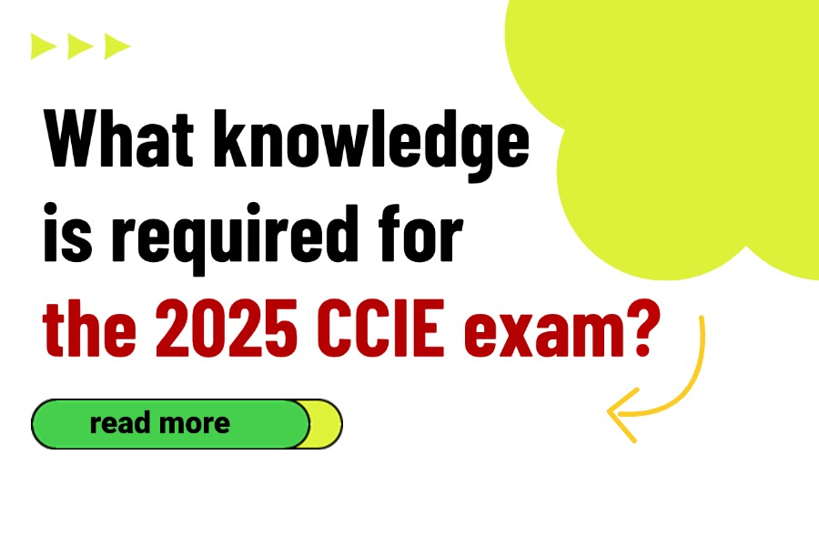 eNSP Pro Usage Precautions