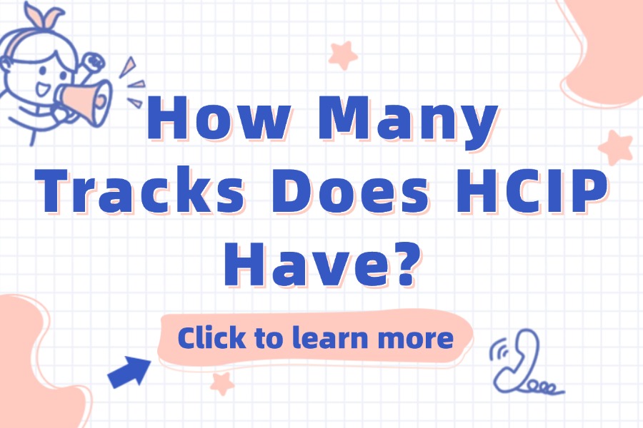 How Many Tracks Does HCIP Have?